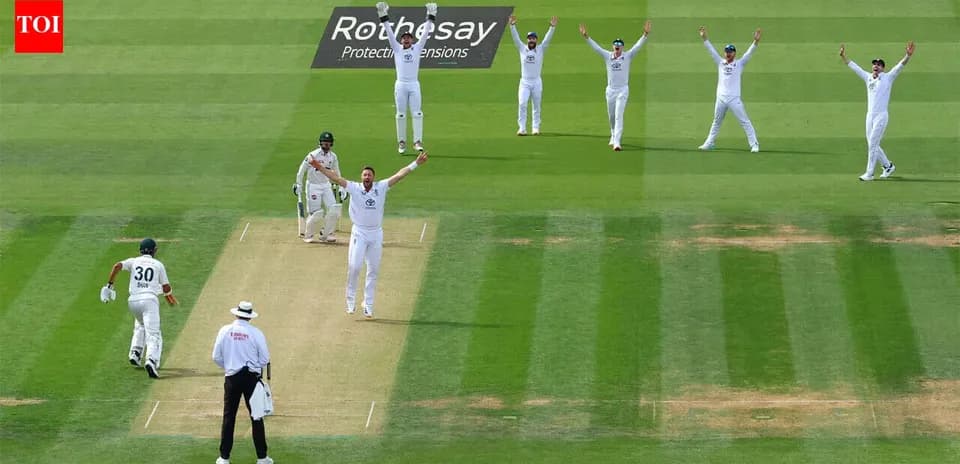 Jugadores celebrando una decisión de wicket en cricket