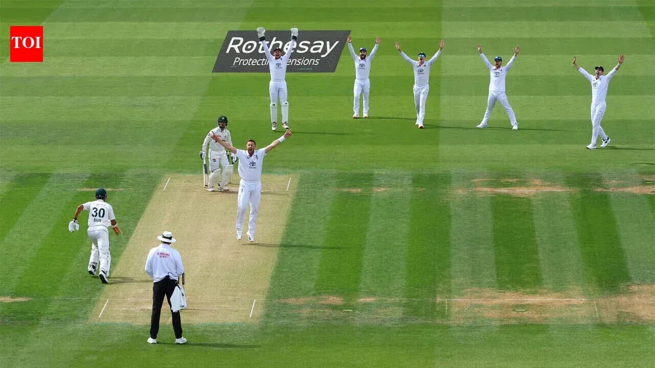 Jugadores celebrando una decisión de wicket en cricket