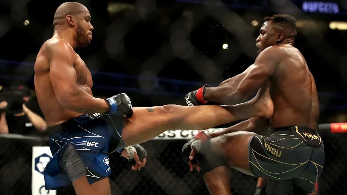 Dos luchadores en combate de MMA en el octágono