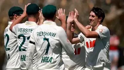 Jugadores celebrando después de una wicket en cricket