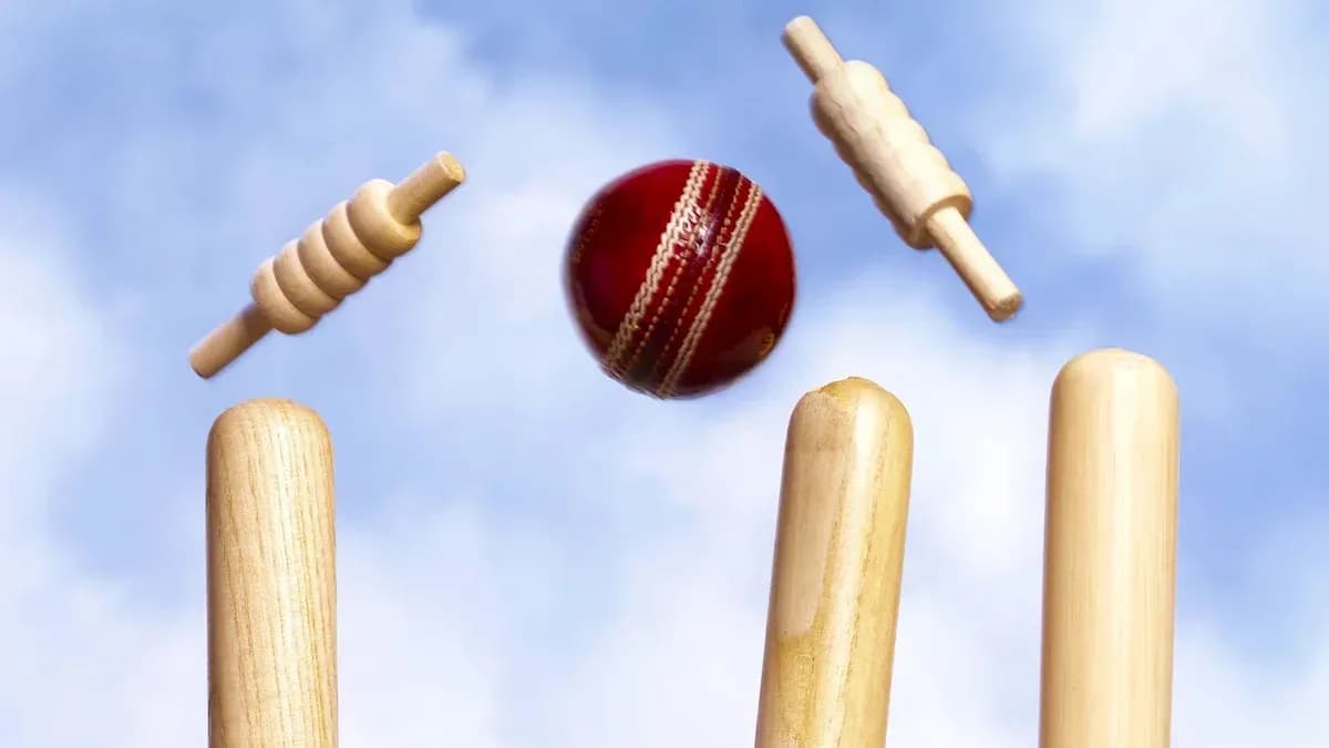 Pelota de cricket en el aire con wickets