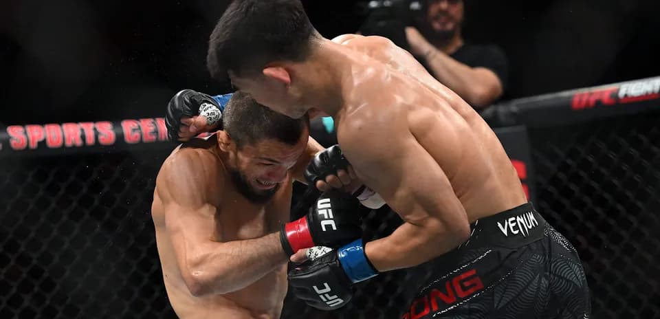 Luchadores en combate durante pelea de UFC