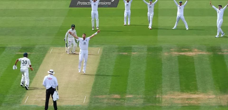 Jugadores celebrando una apelación de wicket en cricket