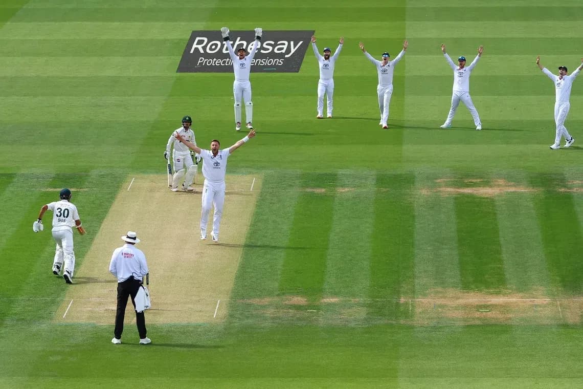 Jugadores celebrando una apelación de wicket en cricket