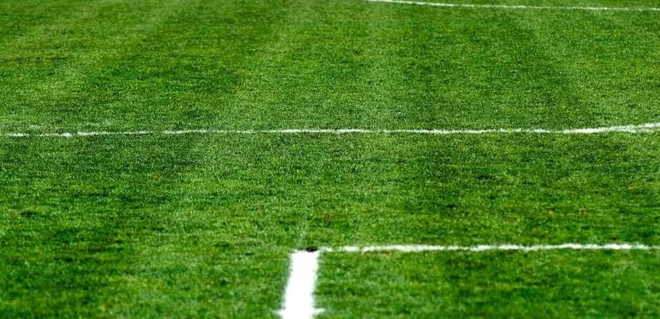 Campo de fútbol con líneas de demarcación