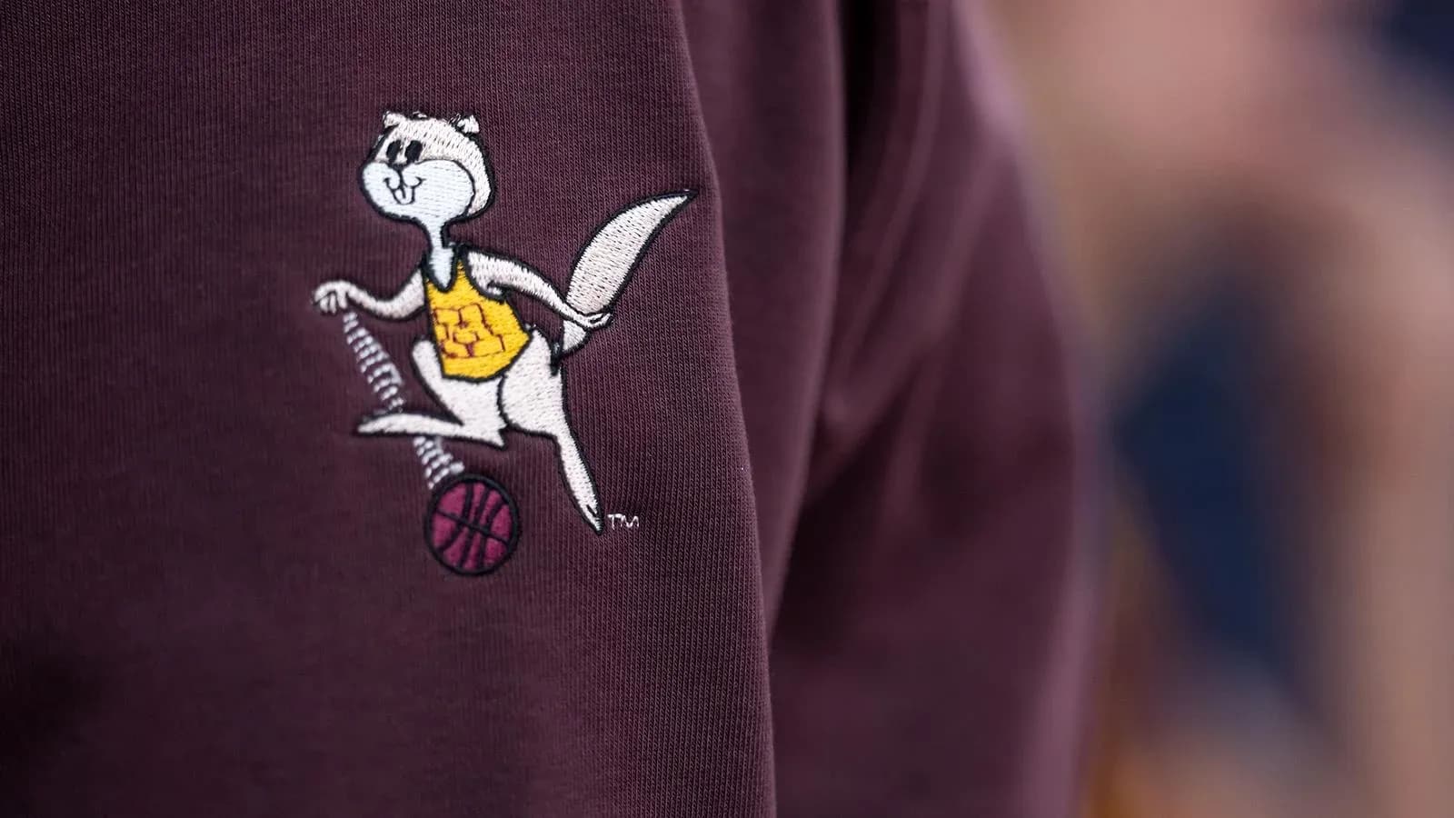 Logotipo de mascota de baloncesto en camiseta Logotipo de mascota de baloncesto en camiseta