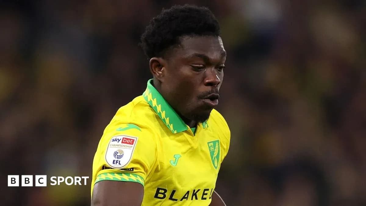 Jugador de Norwich City corriendo durante el partido Jugador de Norwich City corriendo durante el partido